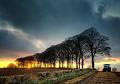 119 - PLOUGHING AT SUNSET - THOMSON IAN - united kingdom